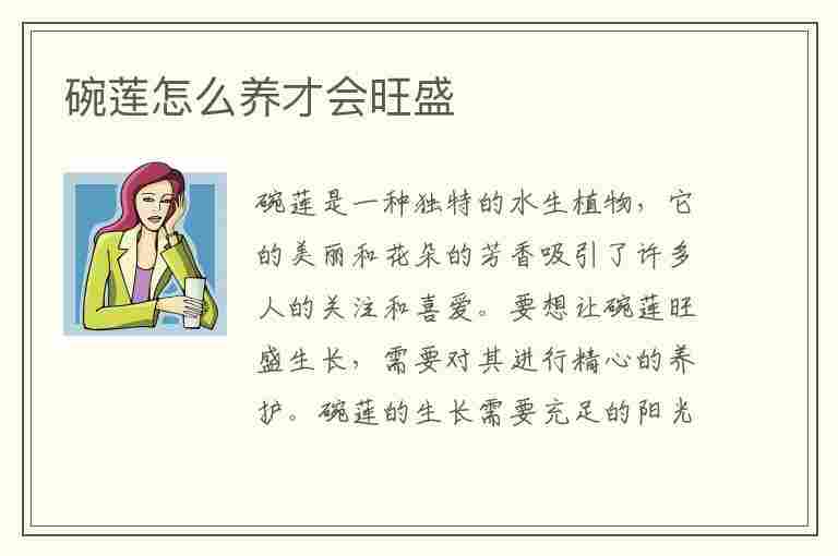 碗莲怎么养才会旺盛(碗莲怎么养才会旺盛呢)